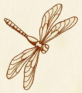dragonfly line embroidery