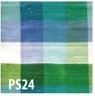 PS24 exotic green plaid